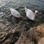 Vinko Διαμέρισμα *