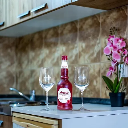 Vinko Apartamento Bibinje